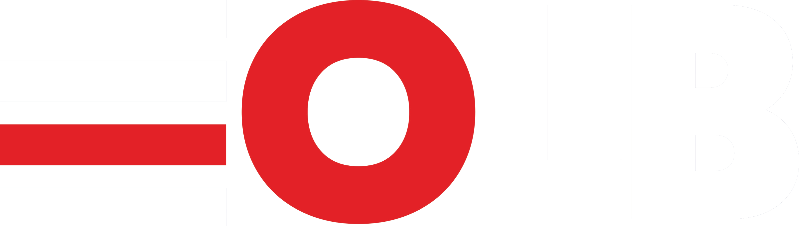 Organización LB